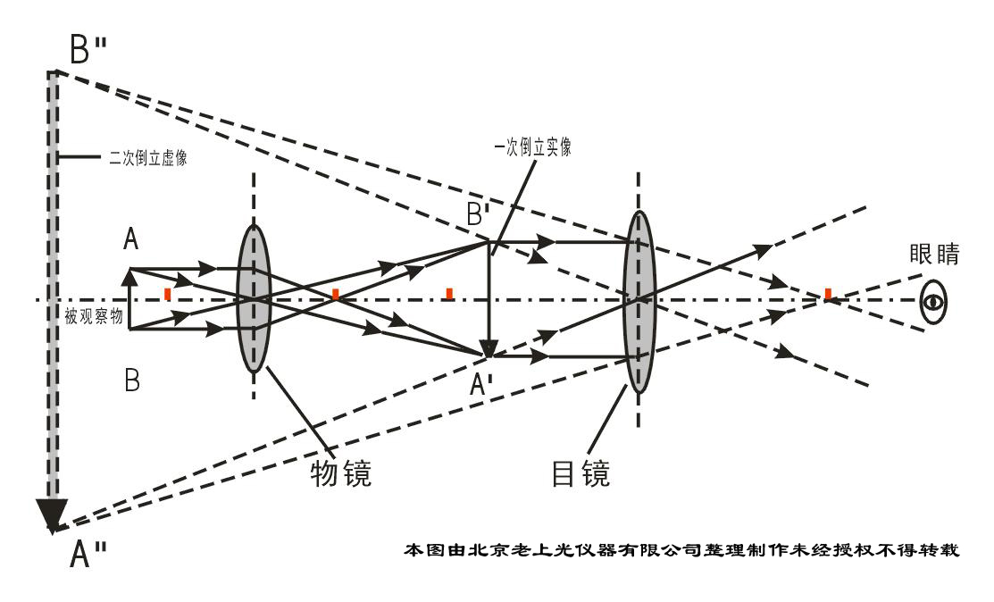 生物显微镜成像原理图