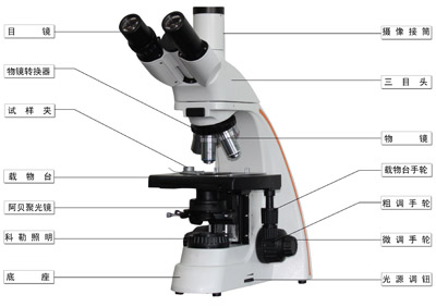 XSP-MS8A-1.jpg